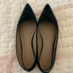 Sam Edelman Wanda Pointed Toe Flat